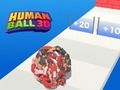 ゲームヒューマンボール3Dオンライン