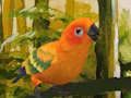 ゲームかわいいセキセイインコのパズル オンライン