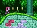 ゲームソニック2のマイティ＆レイ オンライン