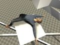 ゲームラグドールテスト オンライン