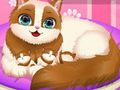 ゲームかわいい子猫の妊娠 オンライン