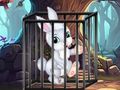ゲームフリーダムホップ オンライン