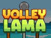 ゲームボレー・ラマ オンライン