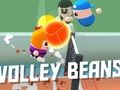 ゲームボレービーンズ オンライン