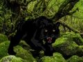 ゲーム黒ヒョウの森からの脱出 オンライン