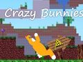 ゲームクレイジーバニーズ オンライン