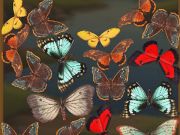 ゲームMergeButerfly:2048! オンライン ゲームMergeButerfly:2048! オンライン
