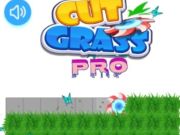 ゲームカットグラスプロ オンライン