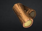ゲームストーンクラフト オンライン