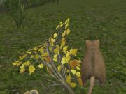 ゲームフォレストマウス オンライン