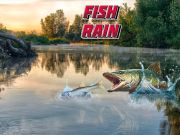 ゲーム魚の雨オンライン