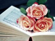 ゲームBook of Blooms Jigsawオンライン