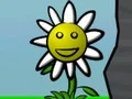 Flower Power — 無料オンラインゲーム