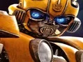 Bumblebee Hidden Spots — 無料オンラインゲーム