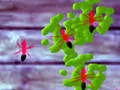 Smash Ants — 無料オンラインゲーム