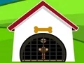 Ostrich Rescue — 無料オンラインゲーム