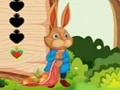 Squirrel Escape — 無料オンラインゲーム