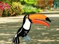 Find Woodpecker Pair — 無料オンラインゲーム