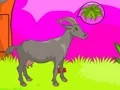 Wolf Escape — 無料オンラインゲーム