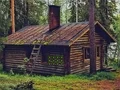 Assist The Barn Owl — 無料オンラインゲーム