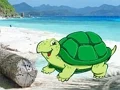 Beach Crab Pair Escape — 無料オンラインゲーム