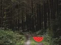 Dense Forest Deer Escape — 無料オンラインゲーム