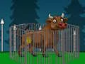 Aggressive Bull Escape — 無料オンラインゲーム
