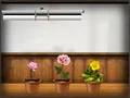 Amgel Kids Room Escape 105 — 無料オンラインゲーム