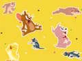 ゲームThe Tom and Jerry Show Find it!オンライン