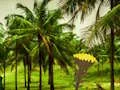 Escape From Coconut Land — 無料オンラインゲーム