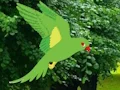 Parrot Find The Nest — 無料オンラインゲーム