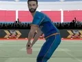 Cricket Powerplay — 無料オンラインゲーム