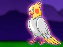 Release the Cockatiel Bird from Cage — 無料オンラインゲーム