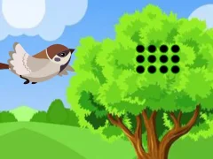 Sparrow Meets Crow Buddies — 無料オンラインゲーム