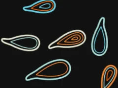 The pollywog — 無料オンラインゲーム