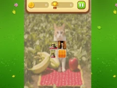 ゲームFarm Cat Memory Matchオンライン