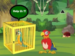 ゲームRelease Trapped Macaw Buddyオンライン