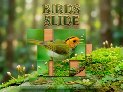 Birds Slide — 無料オンラインゲーム