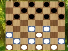 Classic Checkers: Forest — 無料オンラインゲーム