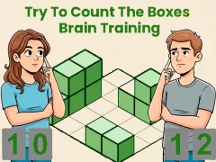 Try To Count The Boxes Brain Training — 無料オンラインゲーム