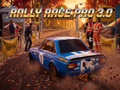 ゲームRally Race Pro 3オンライン
