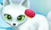 Paws to Beauty Arctic Edition — 無料オンラインゲーム