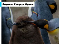 Emperor Penguin Jigsaw — 無料オンラインゲーム
