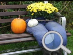 ゲームAutumn Garden Find 100 butterfliesオンライン