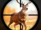 Wild Hunting Clash — 無料オンラインゲーム