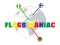Flags Maniac — 無料オンラインゲーム