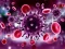 Coronavirus Puzzle — 無料オンラインゲーム