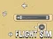ゲームFlight Simオンライン
