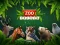 ZOO Trivia — 無料オンラインゲーム