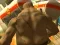 Monster Simulator — 無料オンラインゲーム
